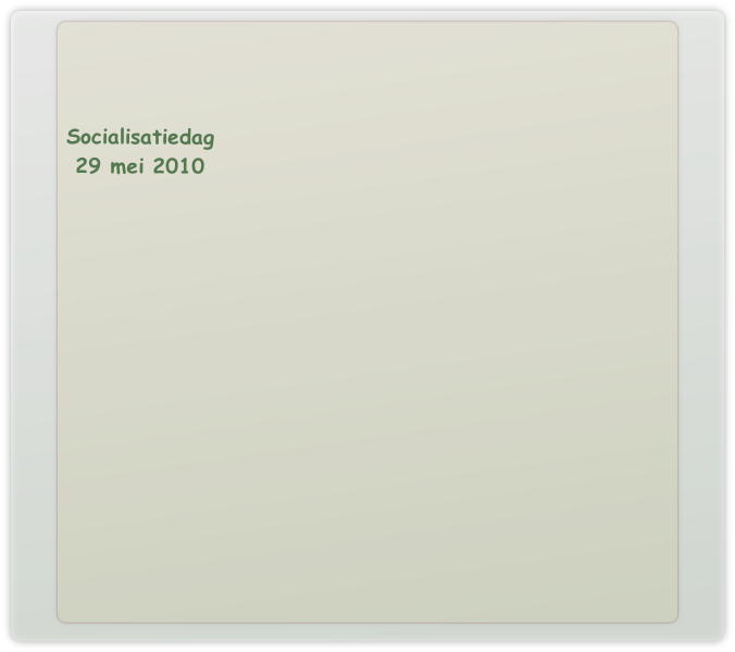 Socialisatiedag
29 mei 2010